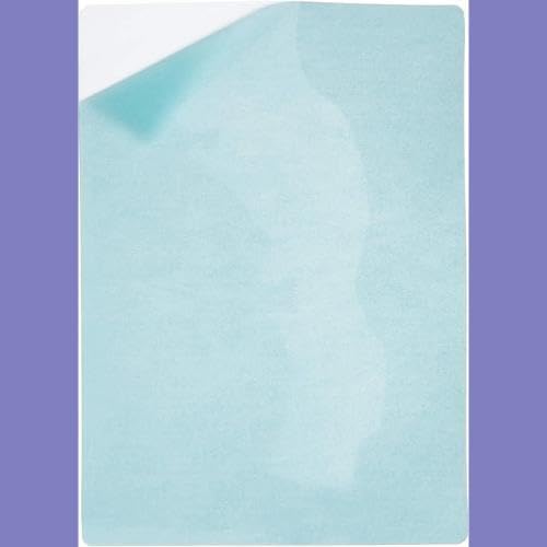 Fellowes Laminierfolie A4, 125 Mikron (2 x 125 mic), mit selbstklebender Rückseite für Aushänge und