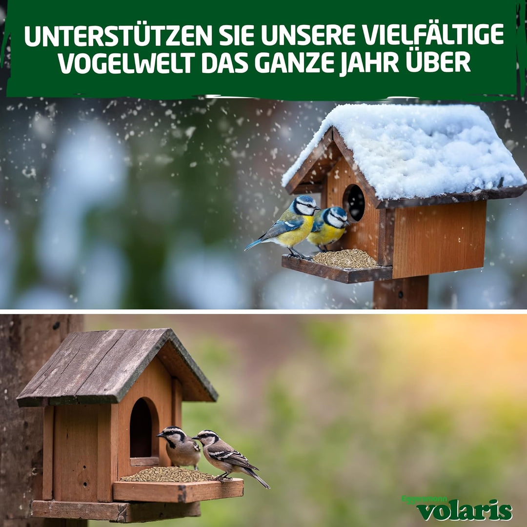 Eggersmann volaris Sonnenblumenkerne Vogelfutter 2,5kg [geschält] – Hochwertiges Vogelfutter Wildvög