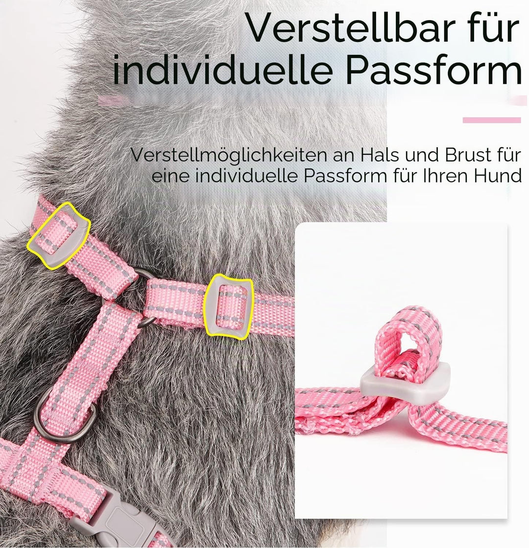 ThinkPet No-Pull Hundegeschirr Leine Set, Atmungsaktiv Brustgeschirr für Kleine Mittlere Grosse Hund