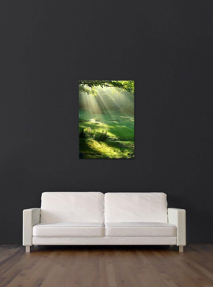 Bilderdepot24 Bild auf Leinwand | Wiese in 50x70 cm als Wandbild | Wand-deko Dekoration Wohnung mode