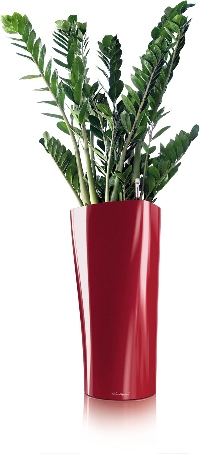 LECHUZA DELTA Premium 30 scarlet rot hochglanz 15519 Scarlet Rot Hochglanz 29x29x56.5 cm Single, Sca