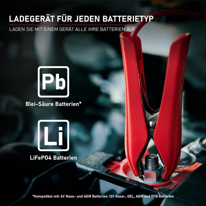 Loadchamp LiFePO4 Ladegerät 6V/12V 10A Batterieladegerät für Auto Motorrad Roller Rasenmäher Batteri