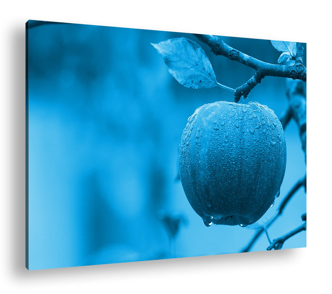 deyoli feuchter Apfel am Baum Format 100x70 Effekt: Monocrome Blau als Leinwandbild, Motiv fertig ge