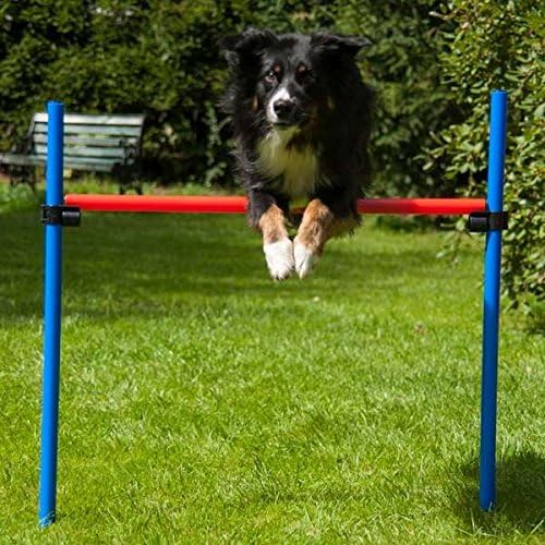 Dog Agility Set K2
