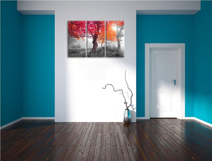 Zauberhafte Waldlandschaft schwarz/weiss 3-Teiler Leinwandbild 120x80 Bild auf Leinwand, XXL riesige