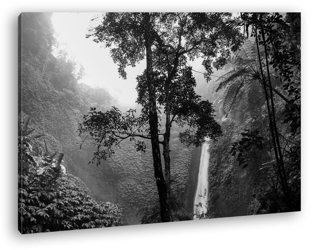 deyoli Wasserfall im tropischem Regenwald Effekt: Schwarz/Weiss Format: 60x40 als Leinwand, Motiv fe