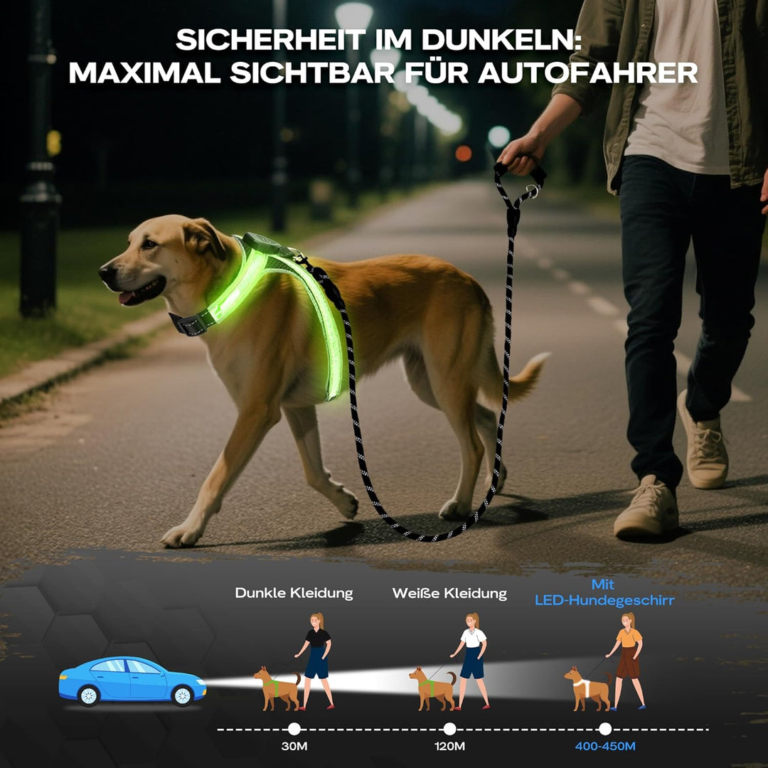 LED Hundegeschirr Set, mit 1,5m Reflektierende Hundeleine, Verstellbare Aufladbares Beleuchtetes Hun