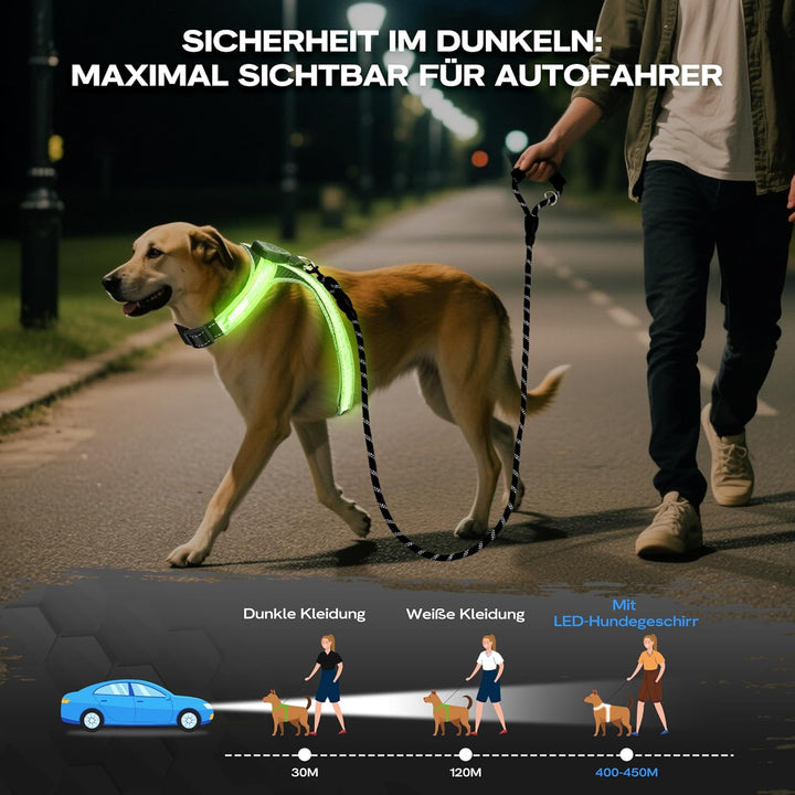 LED Hundegeschirr Set, mit 1,5m Reflektierende Hundeleine, Verstellbare Aufladbares Beleuchtetes Hun