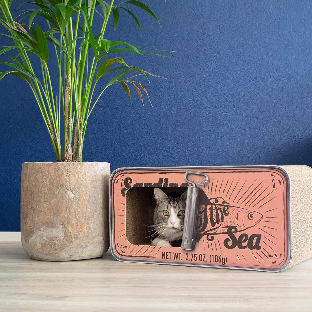 District 70 - Sardine - Pink SARDINE Pink, SARDINE Pink