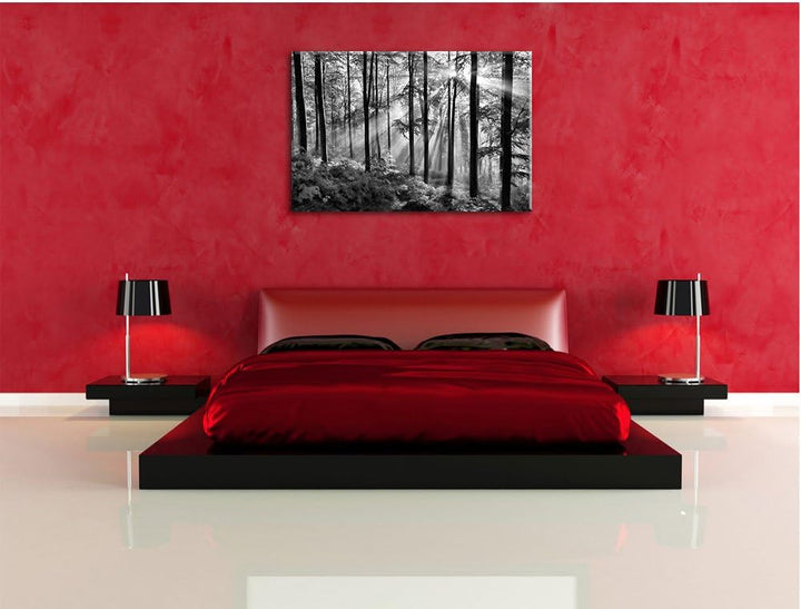 Pixxprint Sonnenstrahlen im Wald / 100x70cm Leinwandbild bespannt auf Holzrahmen/Wandbild Kunstdruck
