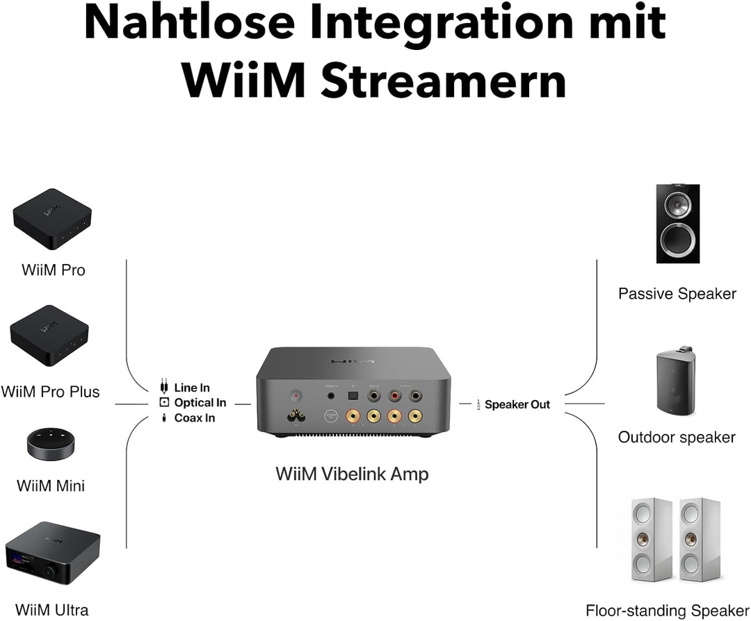 WiiM Vibelink Amp | 100W Leistung Verstärker mit Premium ESS 9039Q2M DAC und TI TPA3255 | Kompatibel