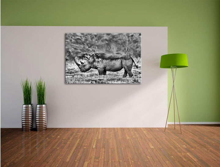 Pixxprint grosses Nashorn in der Savanne / 100x70cm Leinwandbild bespannt auf Holzrahmen/Wandbild Ku