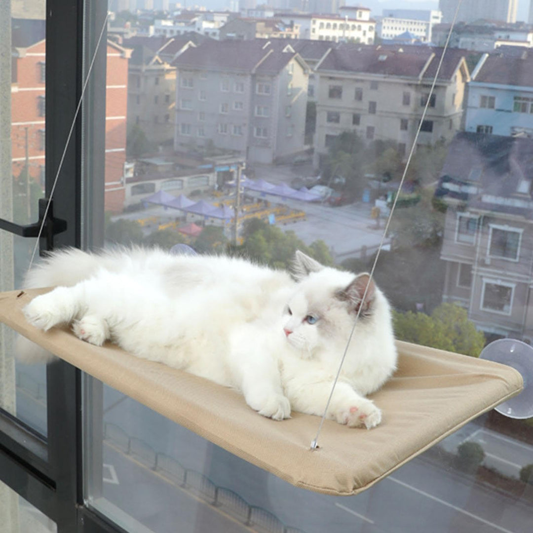 Katzen Hängematte Fensters, Katze Fensters Barsch Mits 4 Starken Saugnäpfen Platz Sparende Katzen Hä