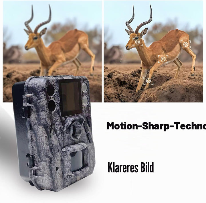 Mini-Wildkamera,2.7K 37MP Jagdkamera 1.44 LCD-Display, Bewegungssensor, Nachtsicht, Grün Farbfotos i
