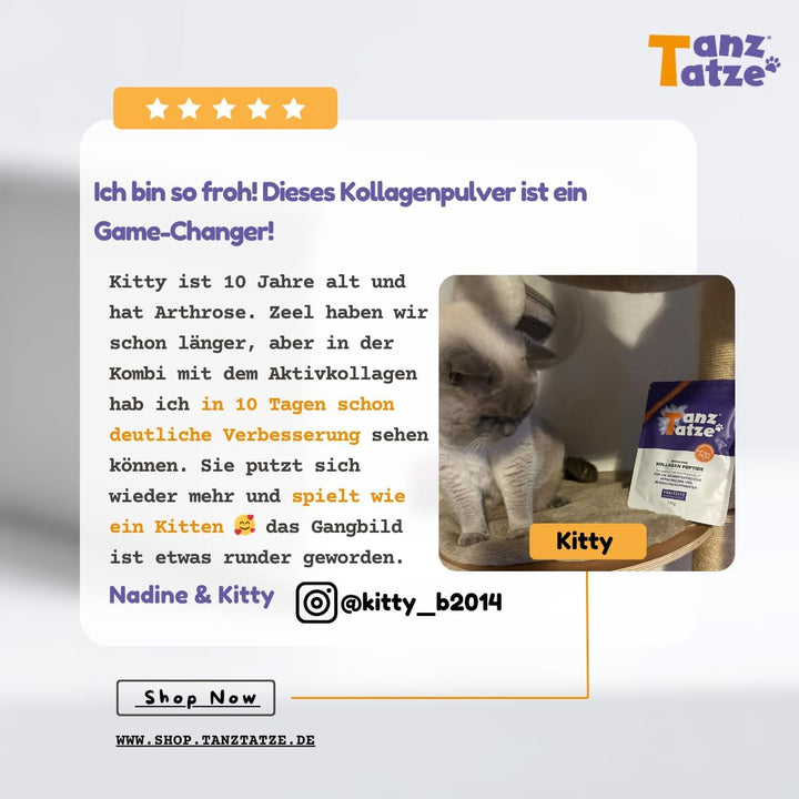 TanzTatze® bioaktive Kollagenpeptide für Hund und Katze – Gelenkpulver auch als Vorsorge – gut vertr