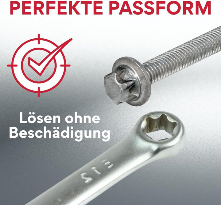 Aussen Torx Ringschlüssel Set E6–E24 CrV Stahl | E-Torx 4 Doppelringschlüssel in 8 Grössen | Präzise