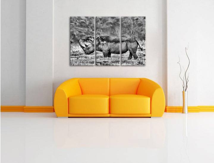Pixxprint grosses Nashorn in der Savanne als Leinwandbild/Grösse: 3 Teilig (120x80) cm/Wandbild/Kuns