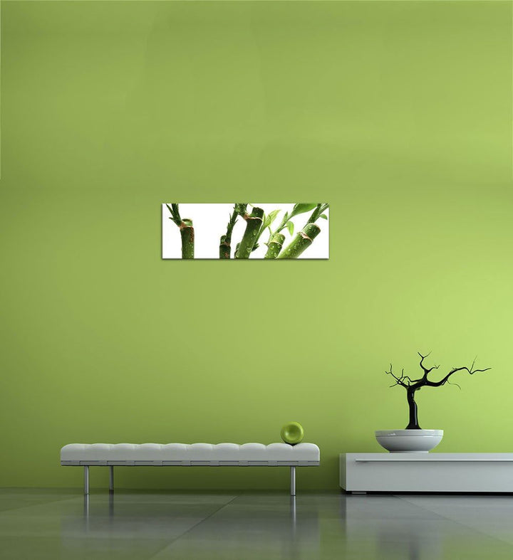 Bilderdepot24 Bild auf Leinwand | Bambus in 90x30 cm als Panorama Wandbild | Wand-deko Dekoration Wo