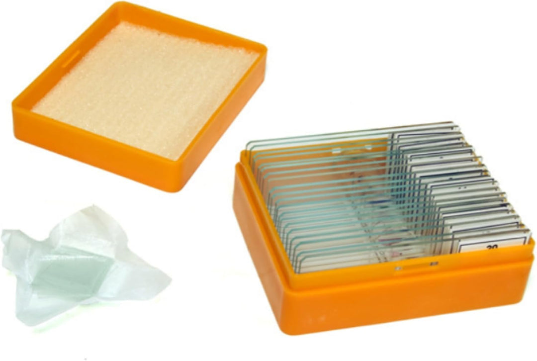 Levenhuk 29277 N20 NG Prepared Slides Set Mikroskope, Schwarz