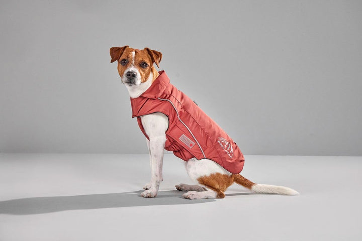 Wolters Skijacke Dogz Wear, Grösse:28 cm, Farbe:rost rot 28 cm rost rot, 28 cm rost rot