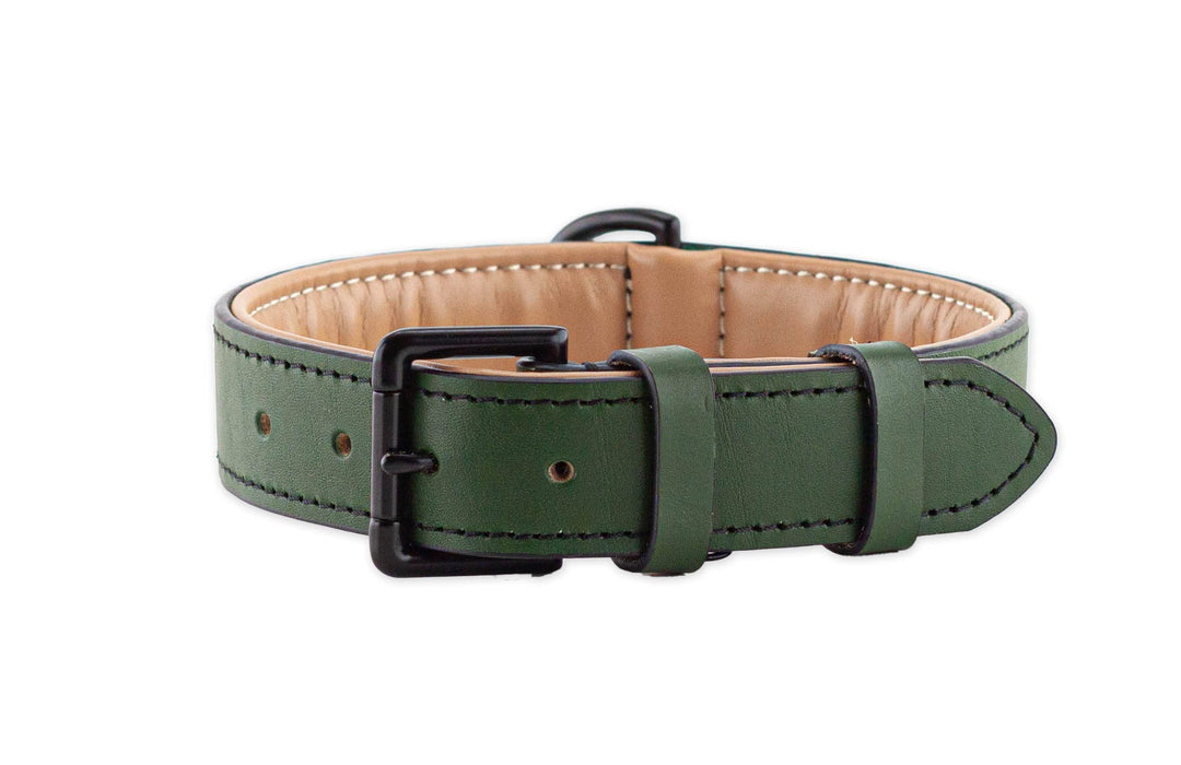 Brute Strength Hundehalsband aus Leder - Dunkelgrün - XXL - 66-73 cm XXL - 66-73 cm Dunkelgrün, XXL