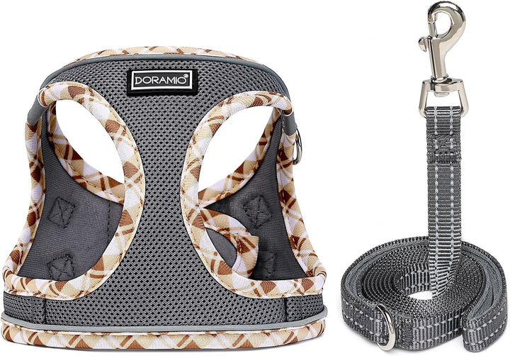 Hundegeschirr Kleine Hunde mit Leine, Step-in Geschirr Reflektierend Atmungsaktiv Brustgeschirr Anti