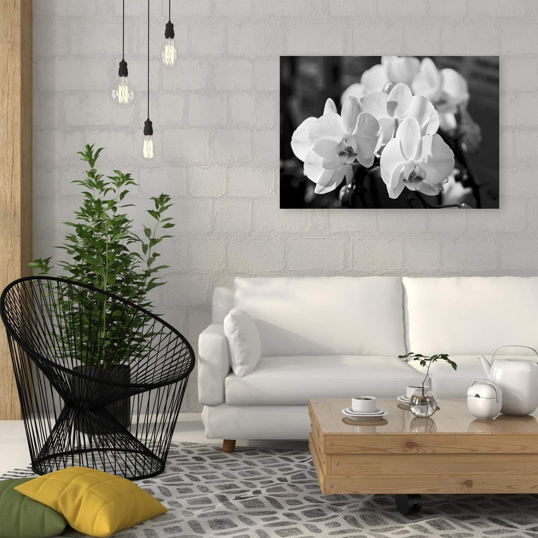 Feeby Wanddeko Orchideen Leinwandbild Kunstdruck schwarz-weiss 90x60 cm Leinwandbild 90x60 cm schwar