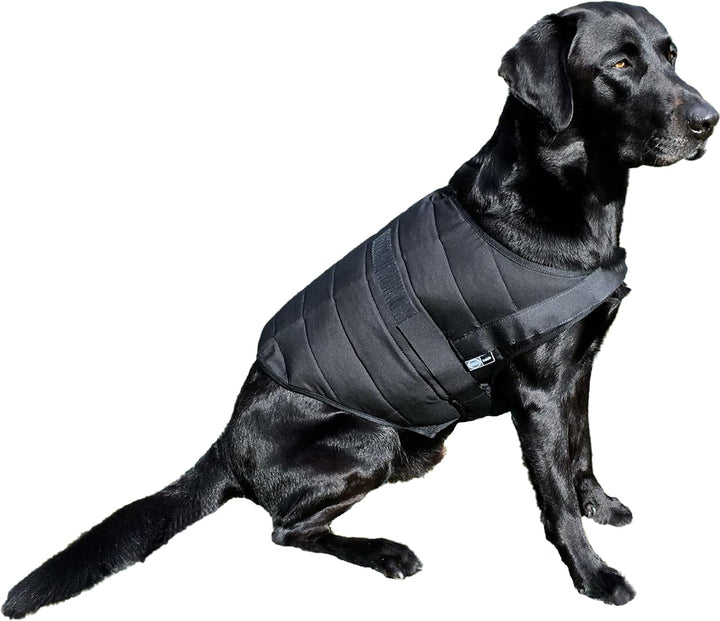 E.COOLINE PowerDog SX3 Kühlweste für Hunde | kühlende Weste für Vierbeiner | Klimaanlage zum Anziehe