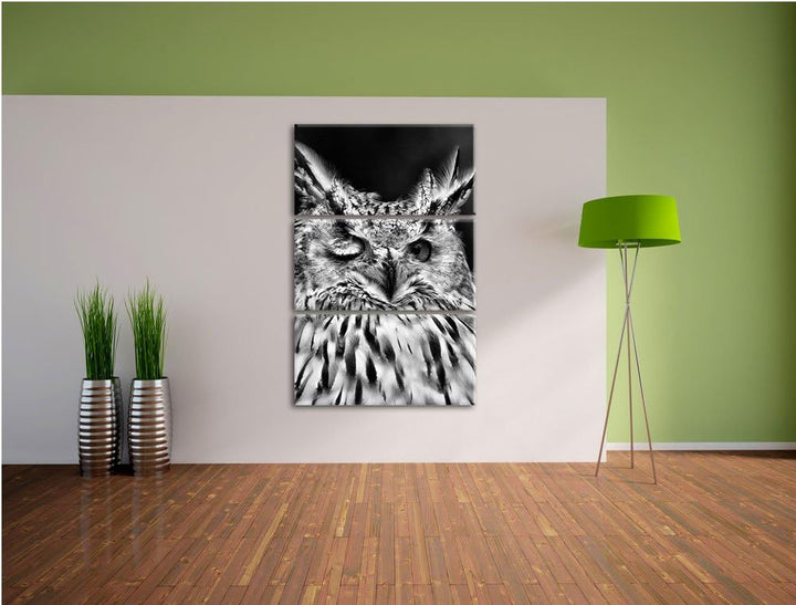 Pixxprint Monocrome, Waldohreule zwinkert 3-Teiler Leinwandbild 120x80 Bild auf Leinwand