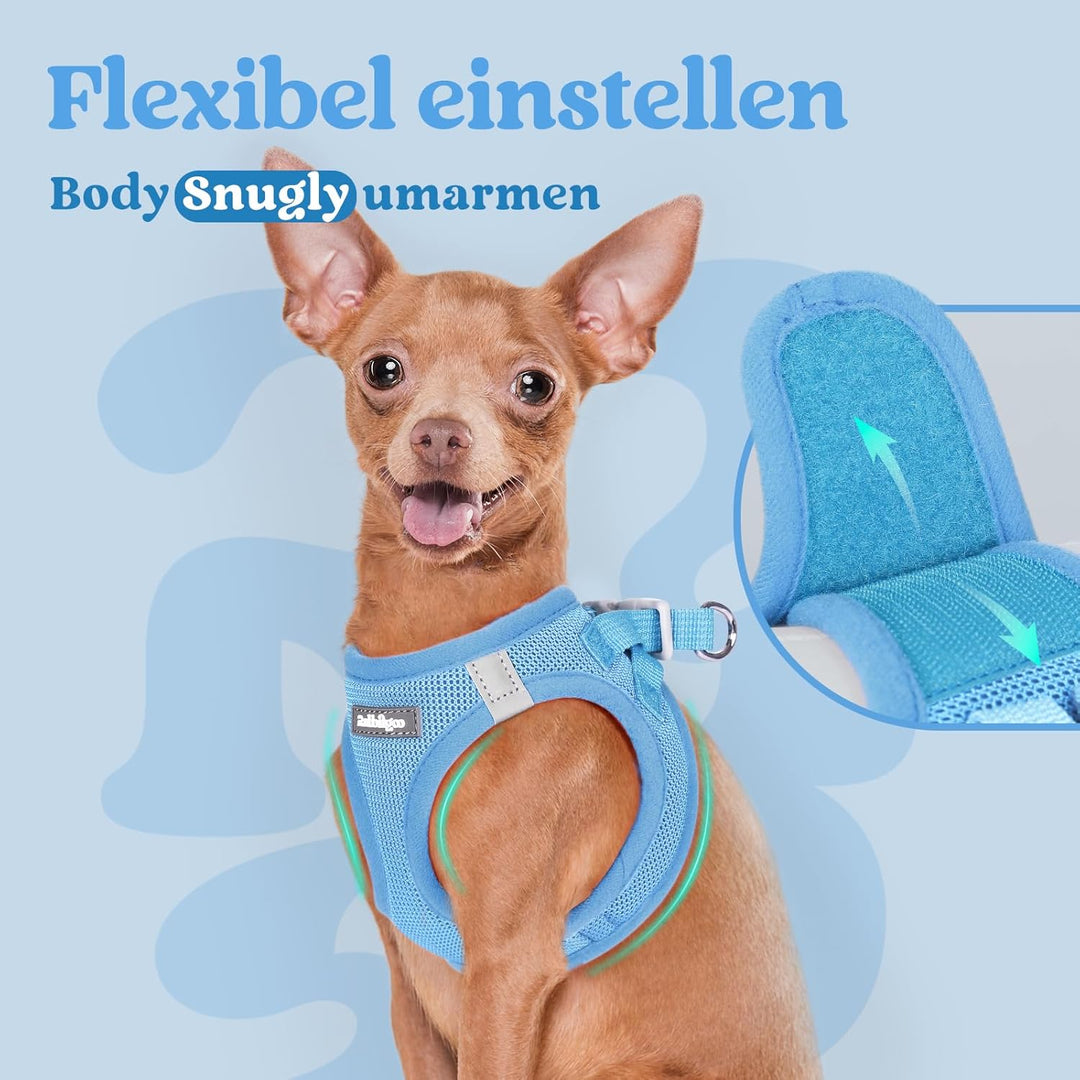 rabbitgoo Hundegeschirr Kleine Hunde, Step-in Welpengeschirr Weich Mesh für Spaziergänge, Atmungsakt