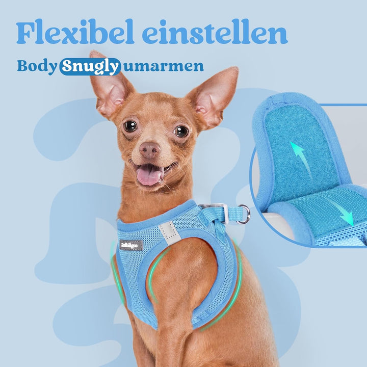 rabbitgoo Hundegeschirr Kleine Hunde, Step-in Welpengeschirr Weich Mesh für Spaziergänge, Atmungsakt
