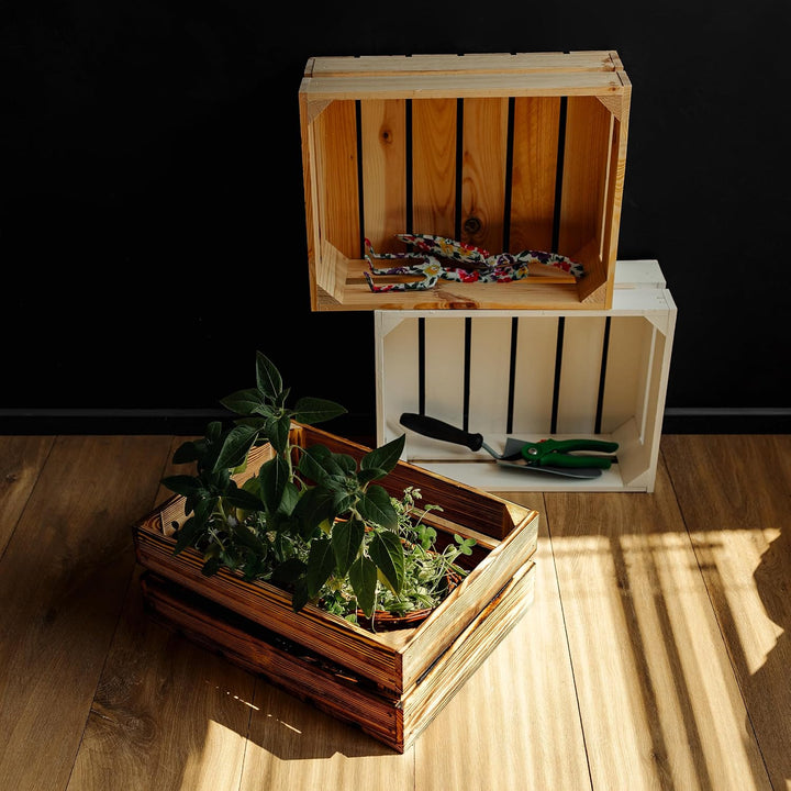Creative Deco 3 x Holzkiste Natur | Weinkisten Set Obstkiste Holz | Geschliffen | 40 x 30 x 15 cm |