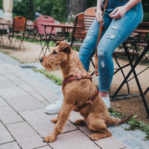 HUNTER Aalborg Hundegeschirr, Leder, XS, Cognac cognac XS, cognac XS