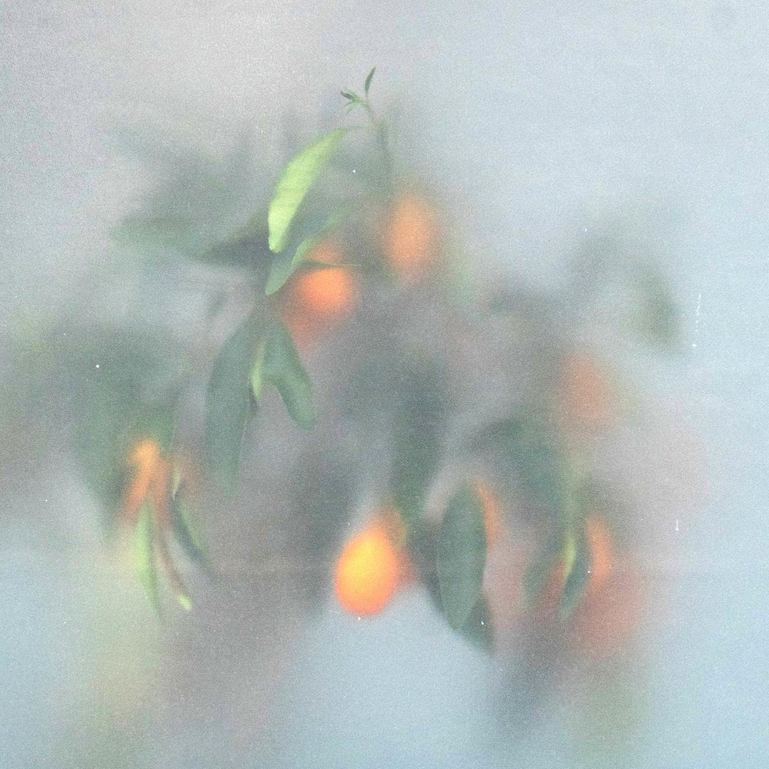 Secret Garden, Vinyl