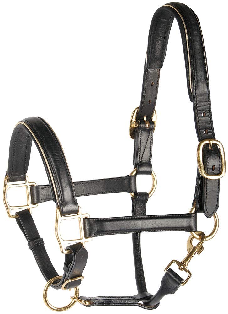 Harry's Horse Halster Leder, zwart met bies, Farbe:Silber, Grösse:cob M silight brauner, M silight b