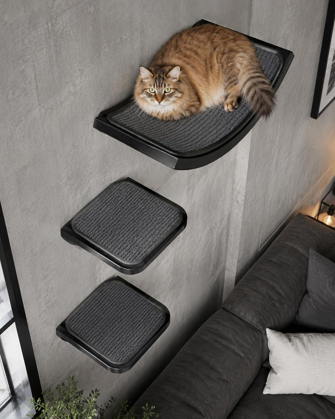 Katzentreppe Wand 3er-Set, Katzen Kletterwand mit 2 Kletterstufen & Gebogenen Plattformen, Wandmonti
