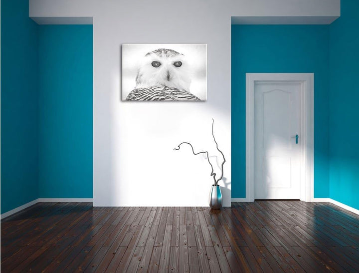 Schnee-Eule Kohle Effekt, Format: 100x70 auf Leinwand, XXL riesige Bilder fertig gerahmt mit Keilrah