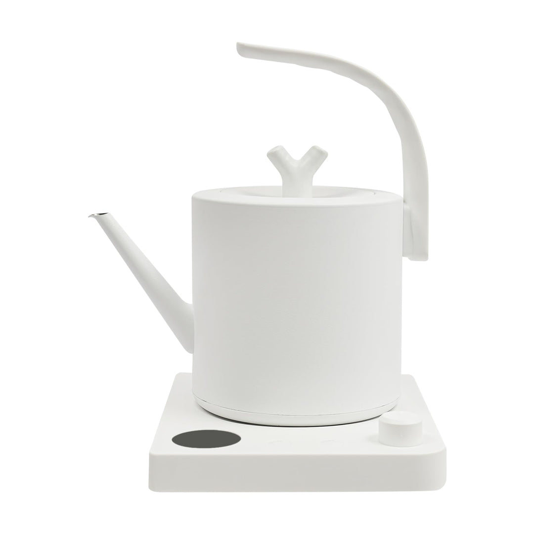 Wasserkocher mit Schwanenhals Edelstahl 1L, Teekocher Elektrisch, Wasserkocher mit Temperatureinstel