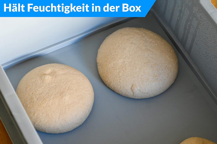TOMASETTI 2 Pizzaballenboxen 1 Deckel - Pizza Box Masse: 30x40 x8cm - Teigwanne für Pizzateig und me