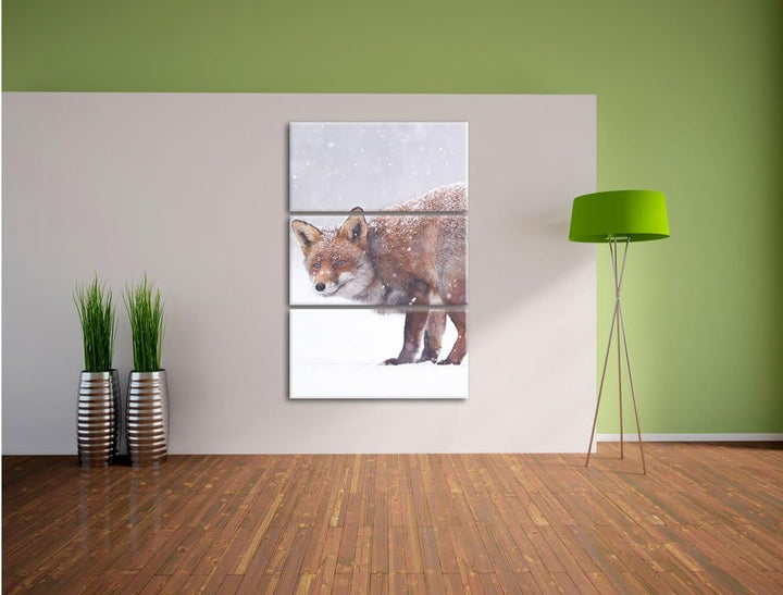 Pixxprint Roter Fuchs im Schneegestöber als Leinwandbild/Grösse: 3 Teilig (120x80) cm/Wandbild/Kunst