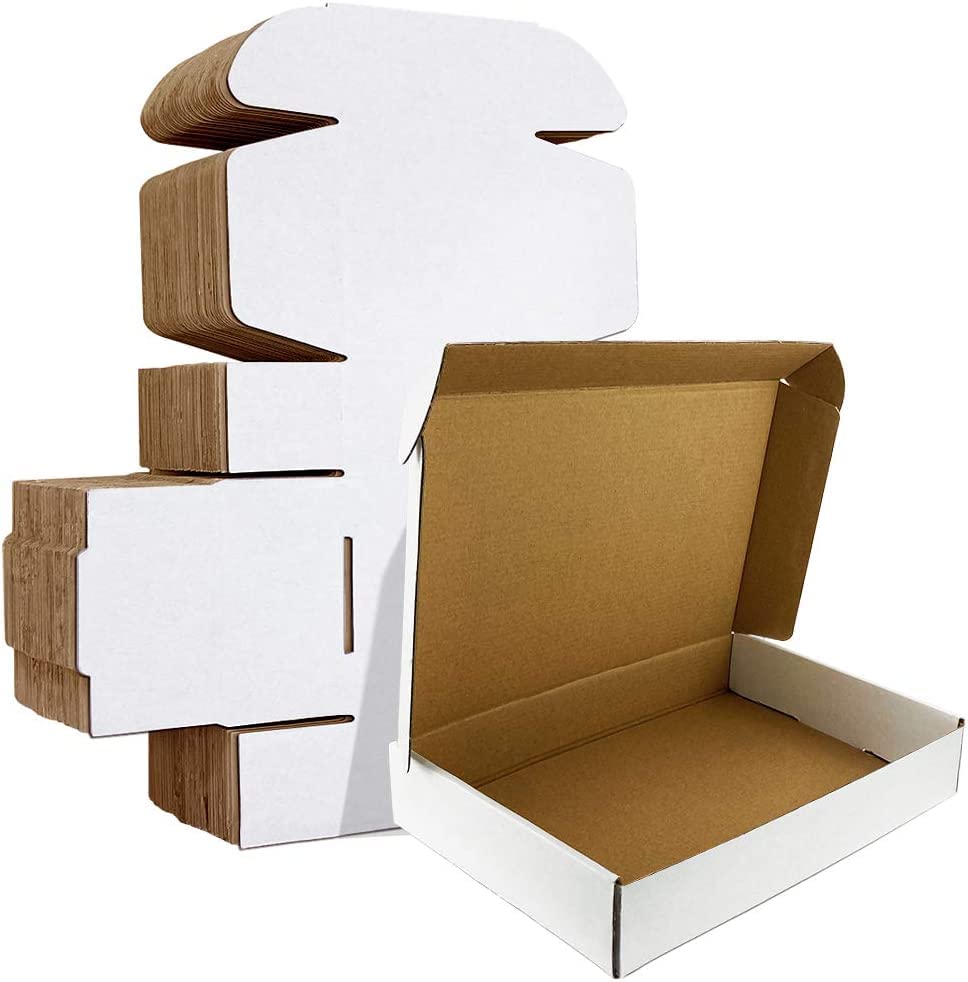 HORLIMER 20 Stück Versandkarton Klein Karton Box, 305x229x76mm Verpackungskartons mit Deckel für War