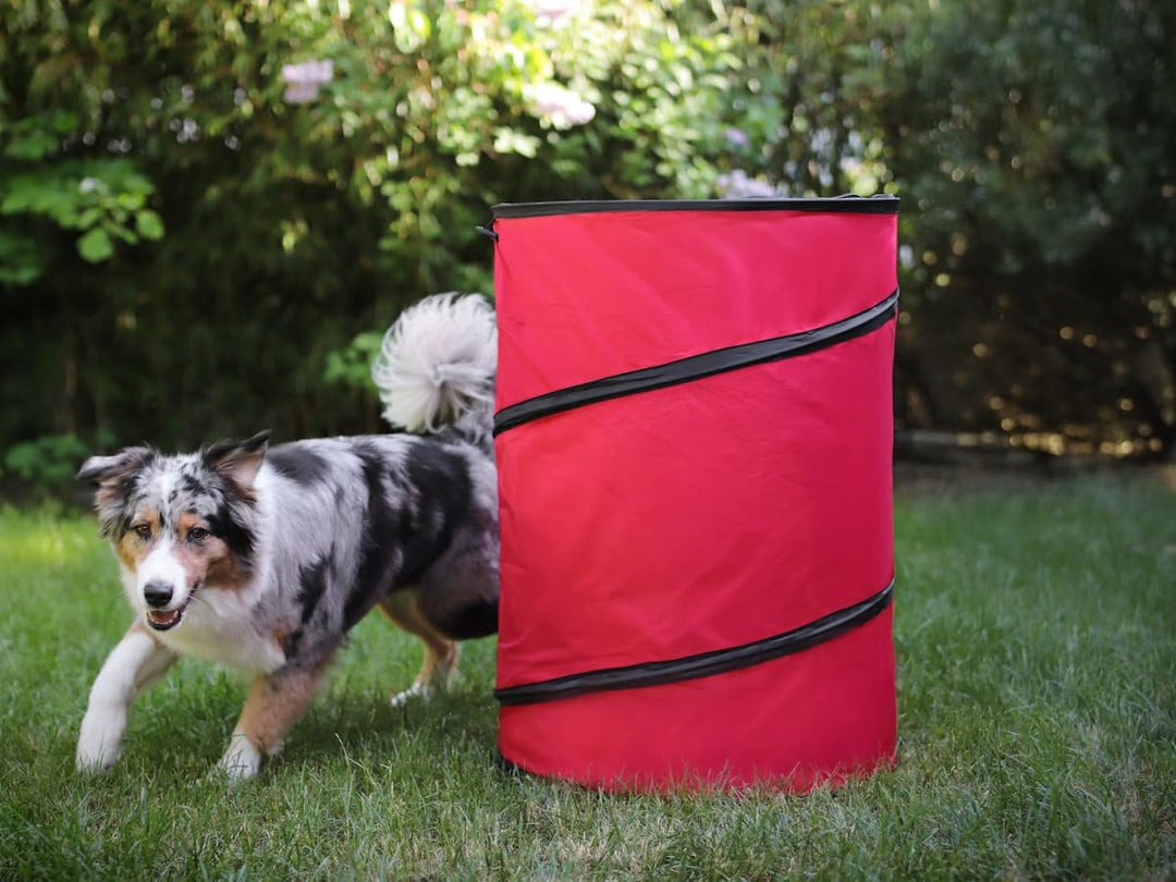 Hoopers Tonne für Hundesport 1 Stück, Hundetraining ohne Sprünge, Agility Barrel, einfacher Pop-Up A