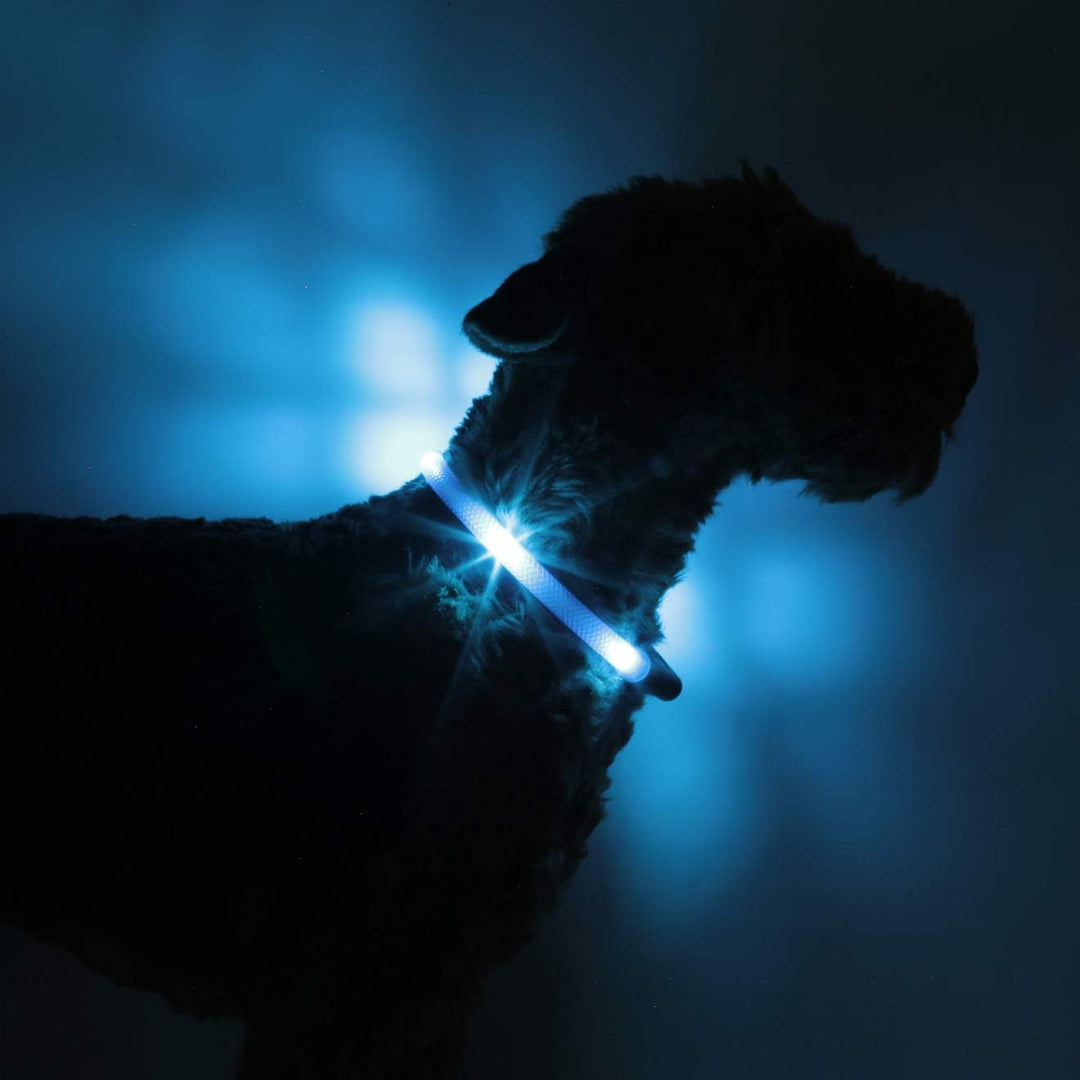 LEUCHTIE® Leuchthalsband Easy Charge eisblau Grösse 47,5 I USB aufladbar I LED Halsband für Hunde I