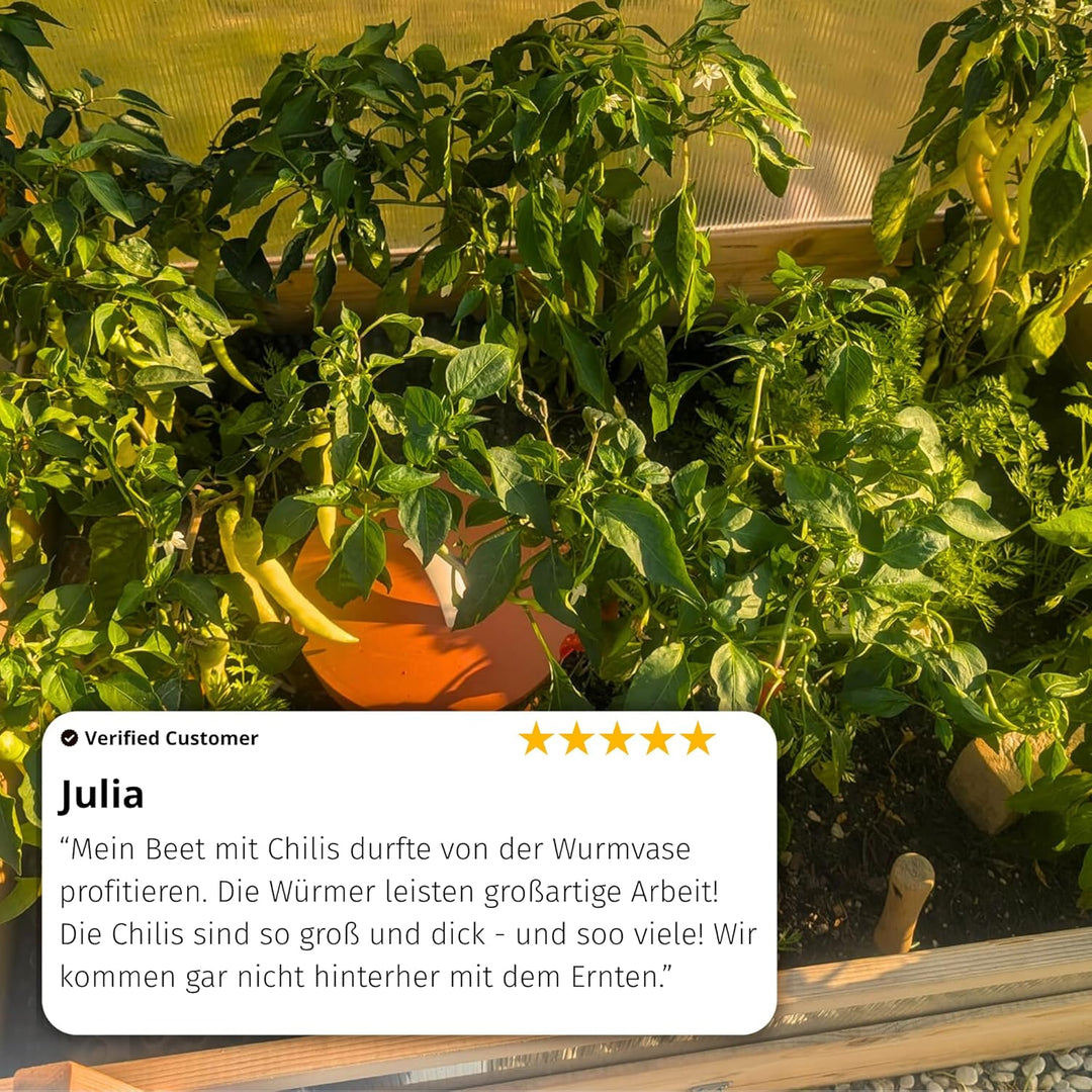 Beetkomposter Wurmvase XL - Wurm Komposter Garten zum Eingraben inkl. Wurmkiste Anleitung, Wurmvase