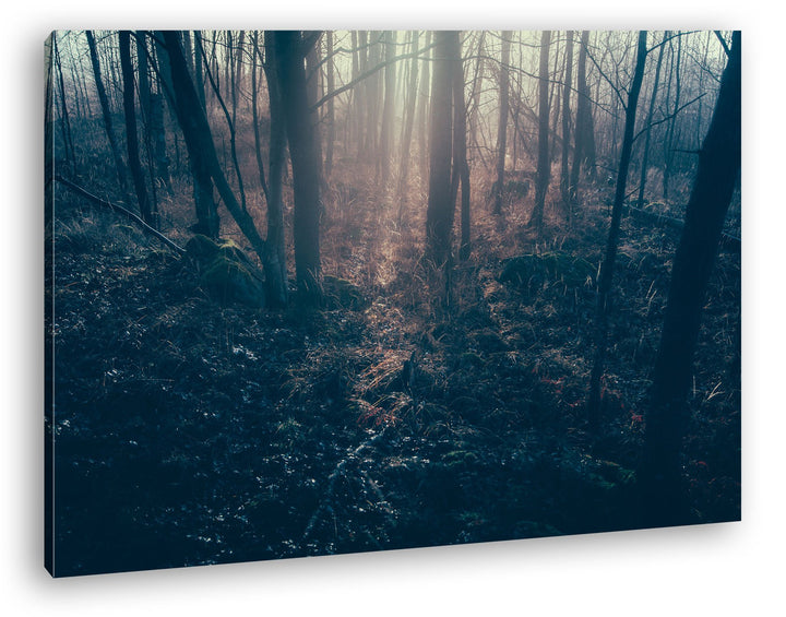 deyoli Dunkler Wald Format: 80x60 als Leinwand, Motiv fertig gerahmt auf Echtholzrahmen, Hochwertige