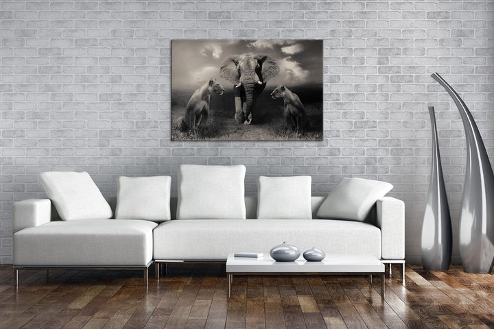 Tiere der Safarie Format: 80x60 als Leinwandbild, Motiv fertig gerahmt auf Echtholzrahmen, Hochwerti