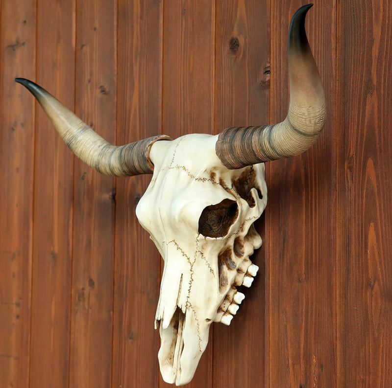 Bullenschädel Longhorn Schädel Skull Totenschädel Schädel Geweih Figur