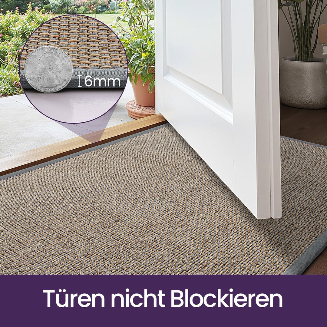 DEXI Fussmatte Innen 120 x 180 cm, rutschfest Schmutzfangmatte mit Gummirücken, absorbierend Fussmat
