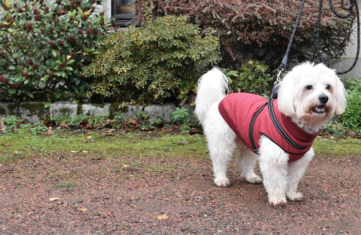 Bobby Safe Hundemantel mit integriertem Geschirr, Rückenlänge 32 cm, Fleece-Innenfutter, Reissversch