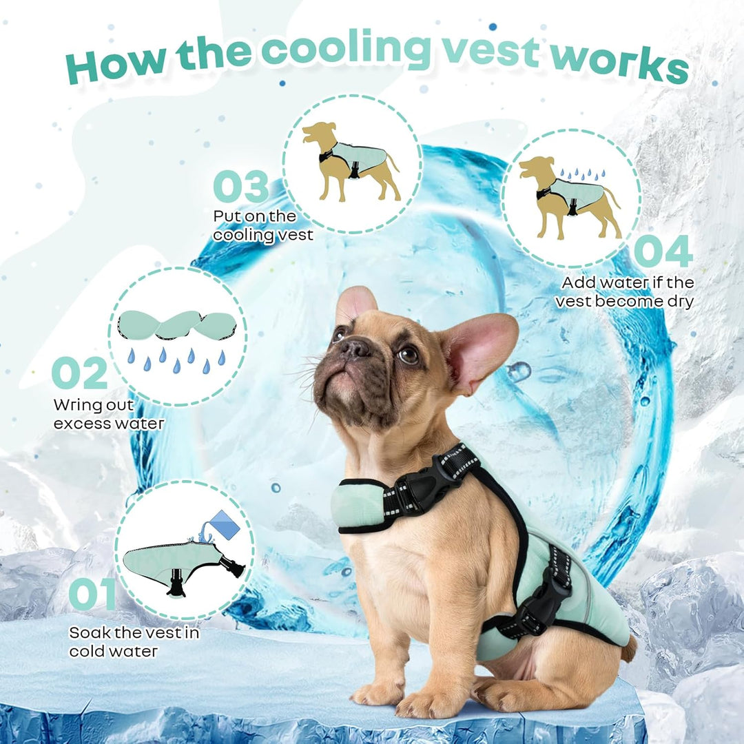 Kühlweste für Grosse Hunde, Hunde Kühlmantel Einstellbare Kühlung Hund Jacke Saugfähige & kühle Hund